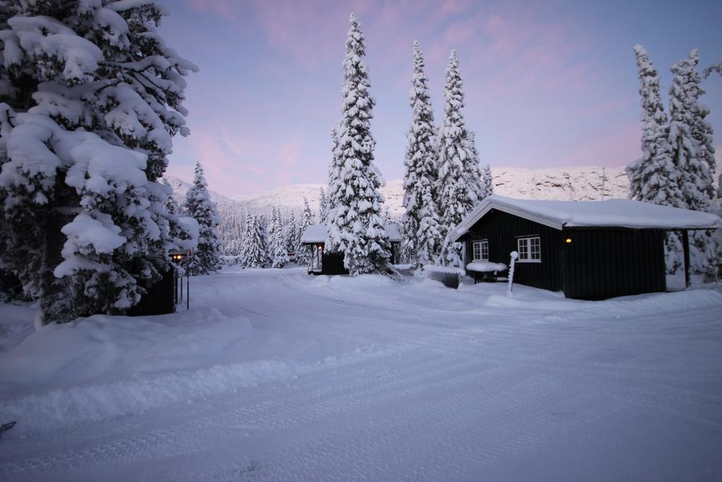 Апартаменты Haglebu Feriesenter Eggedal Экстерьер фото